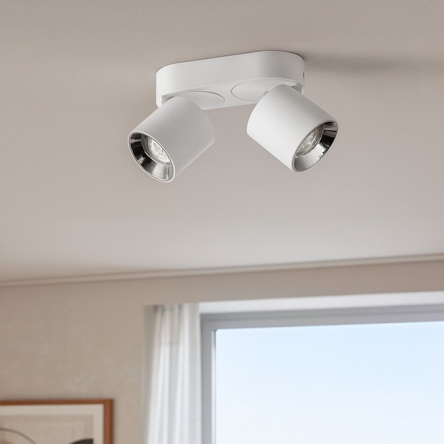 Ceiling light fixture in a room with a window and plant