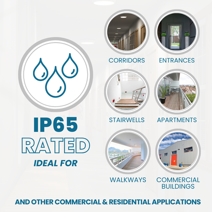 Promotional graphic for IP65 rated products ideal for various indoor and outdoor settings.