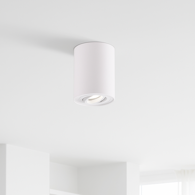 Ceiling light fixture in a minimalistic room with shelves and a plant.