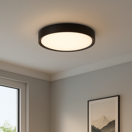 Ceiling light fixture in a living room with a couch and framed picture.