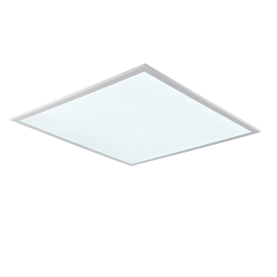 600x600 LED Emergency Panel Light | 40W 4000lm 6000K Daylight White ...