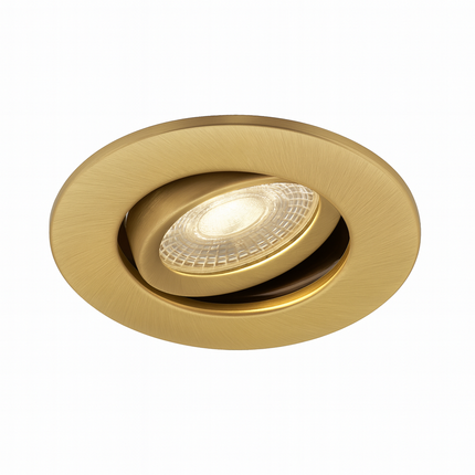Fire-Rated 30/60/90 min Open Back Tilt Adjustable Downlight – IP65, GU10, Anitque Brass
